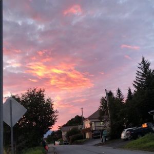 Meet your Posher, Brodie